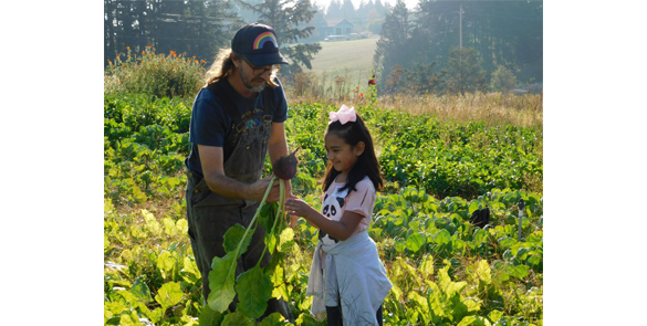 Union Ridge 2nd grader Mia Morales harvests a large beet at Full Plate Farm