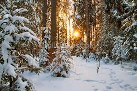 December Newsletter