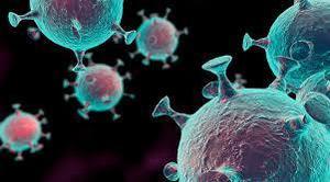 Influenza Reminders