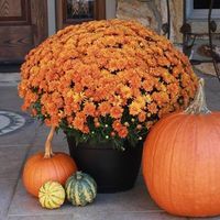 October Family Letter