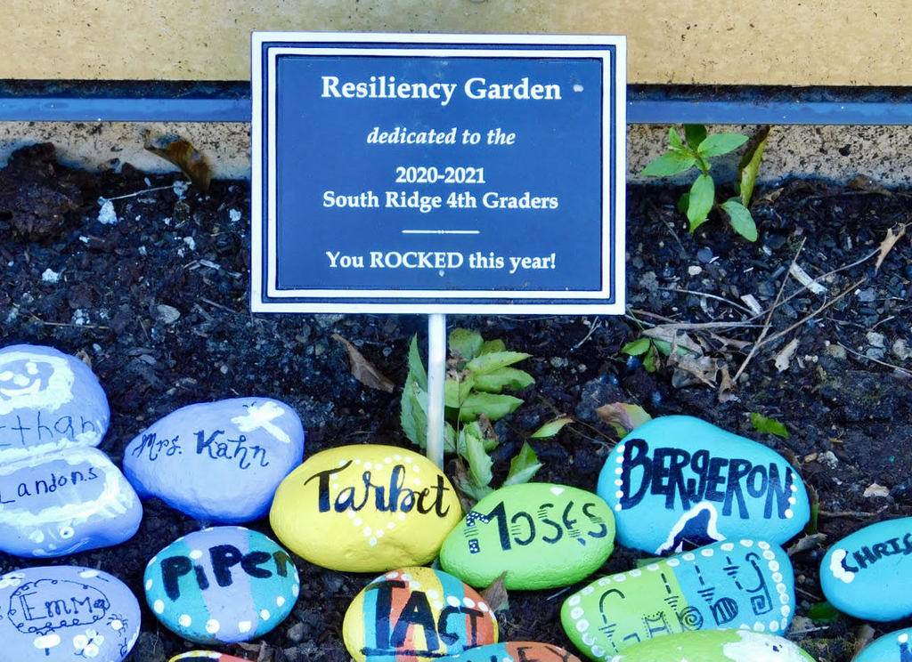 Resiliency Garden at South Ridge Elementary School
